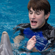 Illustration for article titled Like its title character, iDolphin Tale 2/i swims around in circles